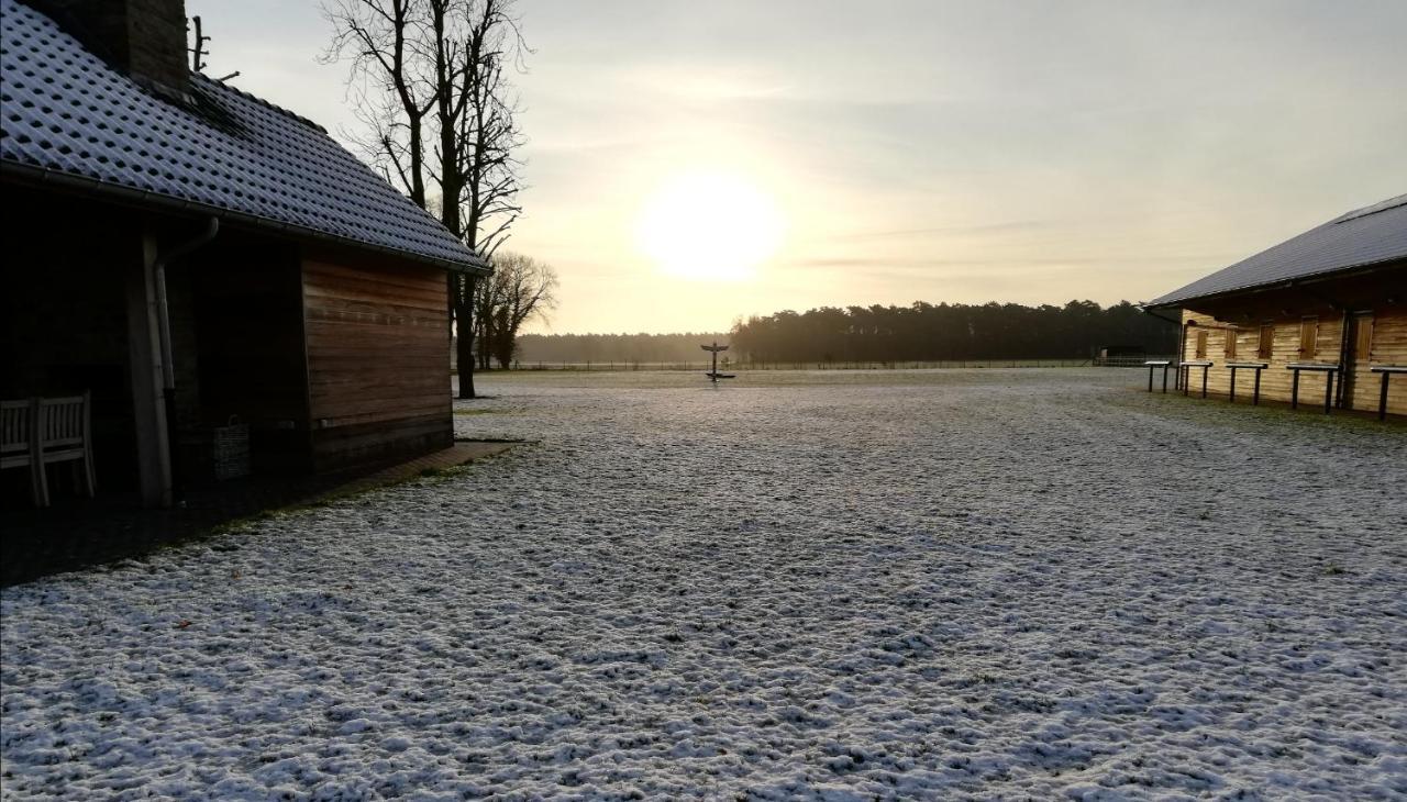 Kamphuis Heideven Villa Peer Esterno foto